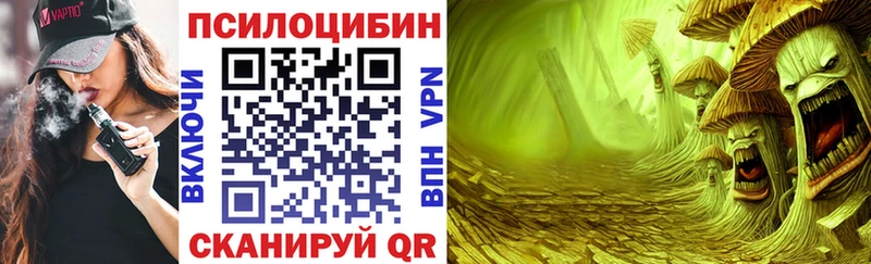 МЕГА маркетплейс  Заволжье  Галлюциногенные грибы мухоморы 